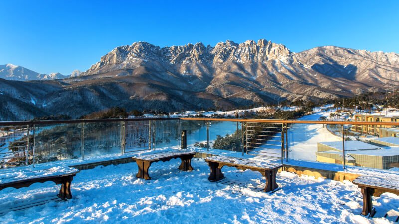 ₹24,999* /- per person