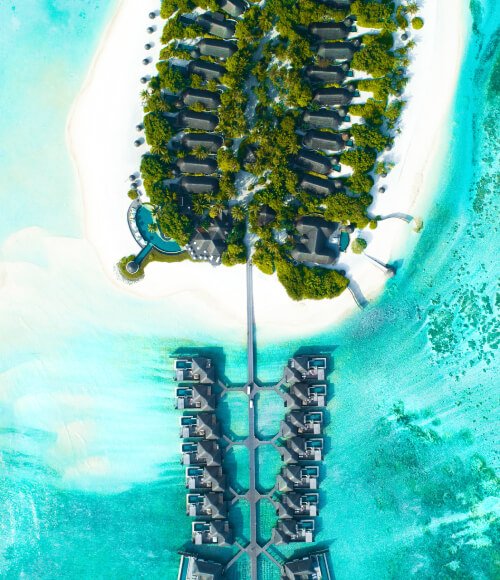 ₹89,999*/- per person